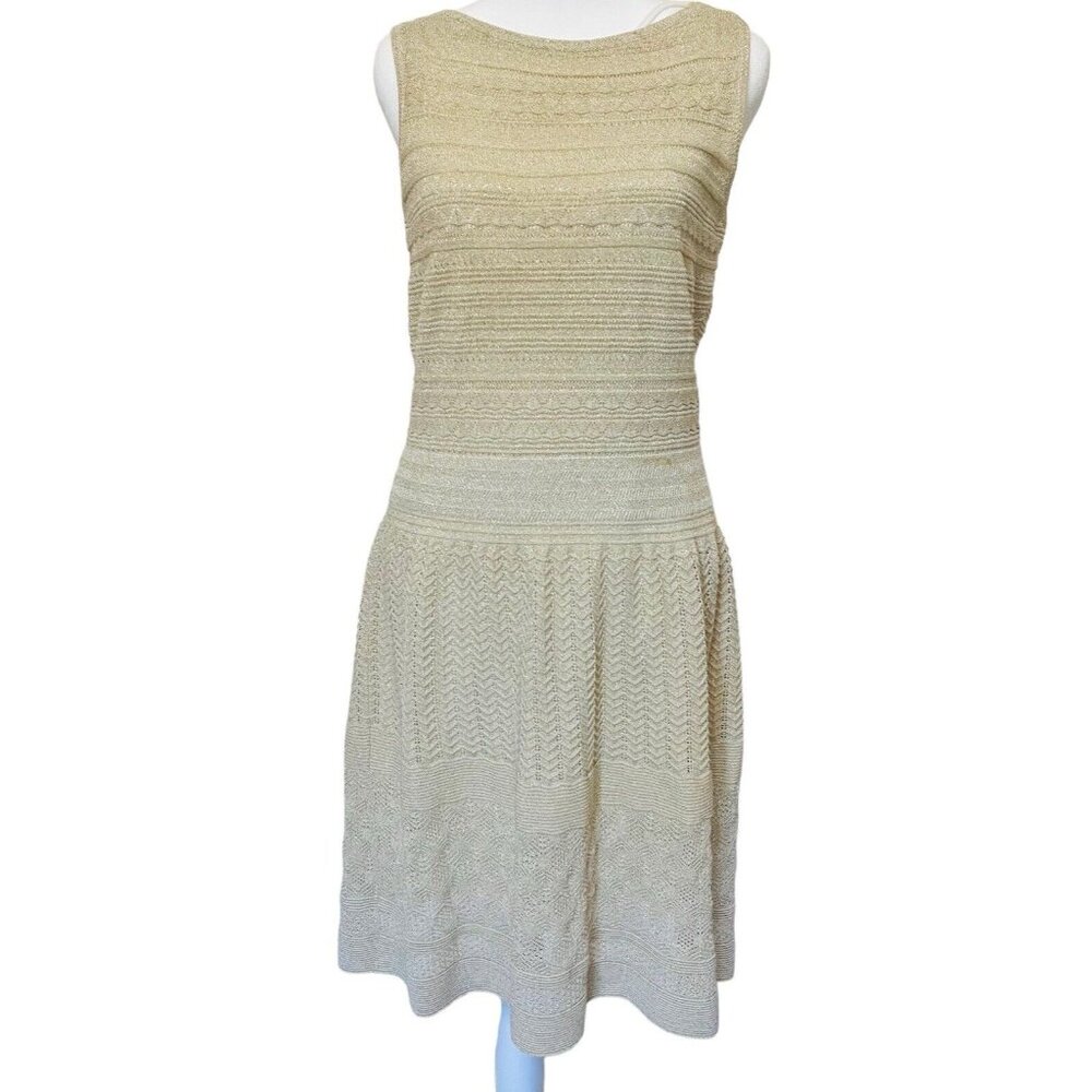 Ralph Lauren Smocked Slip Dress Women's M Sleeveless Shimmery Knit